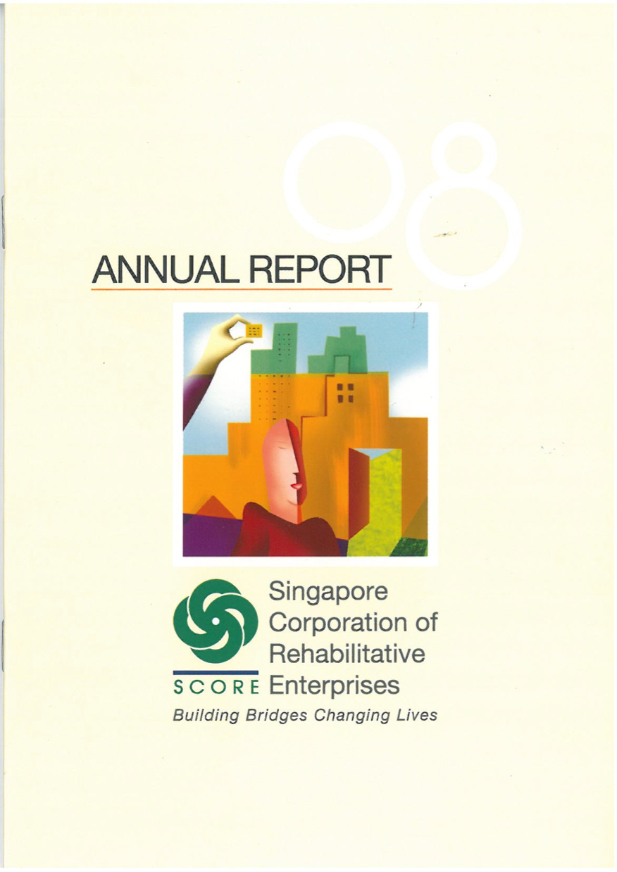 YRSG Annual Report 2008