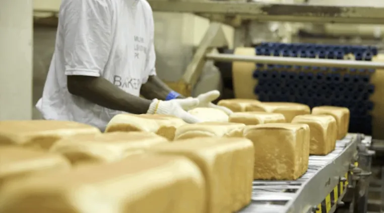 Food and Business Solutions