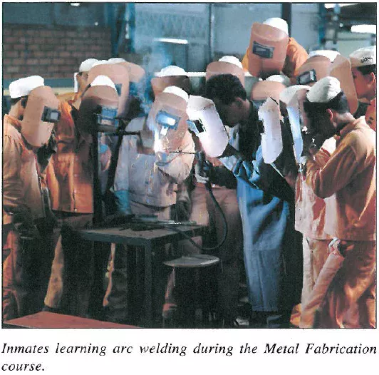 Vocational training 1982