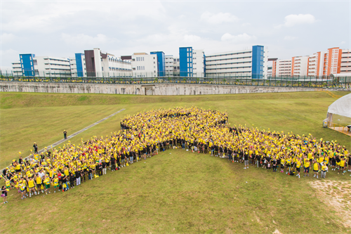 YR human formation - Run Participants YR human formation - Run Participants