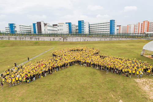 YR human formation - Run Participants YR human formation - Run Participants