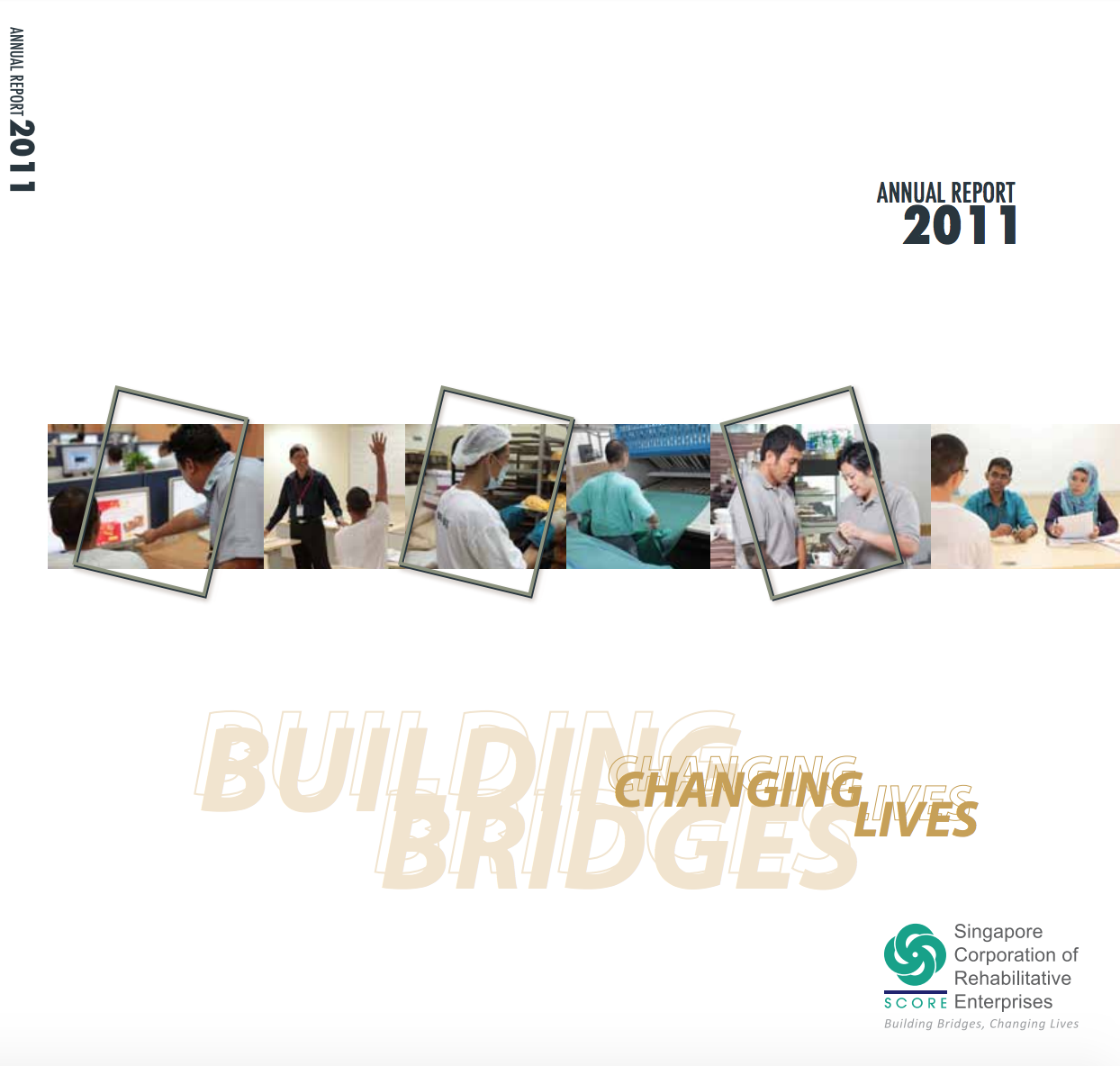 YRSG Annual Report 2011