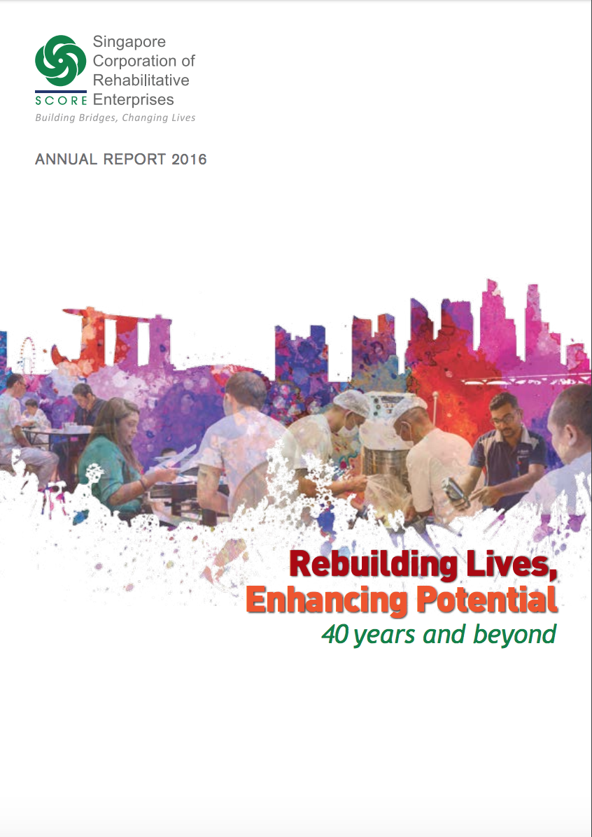YRSG Annual Report 2016