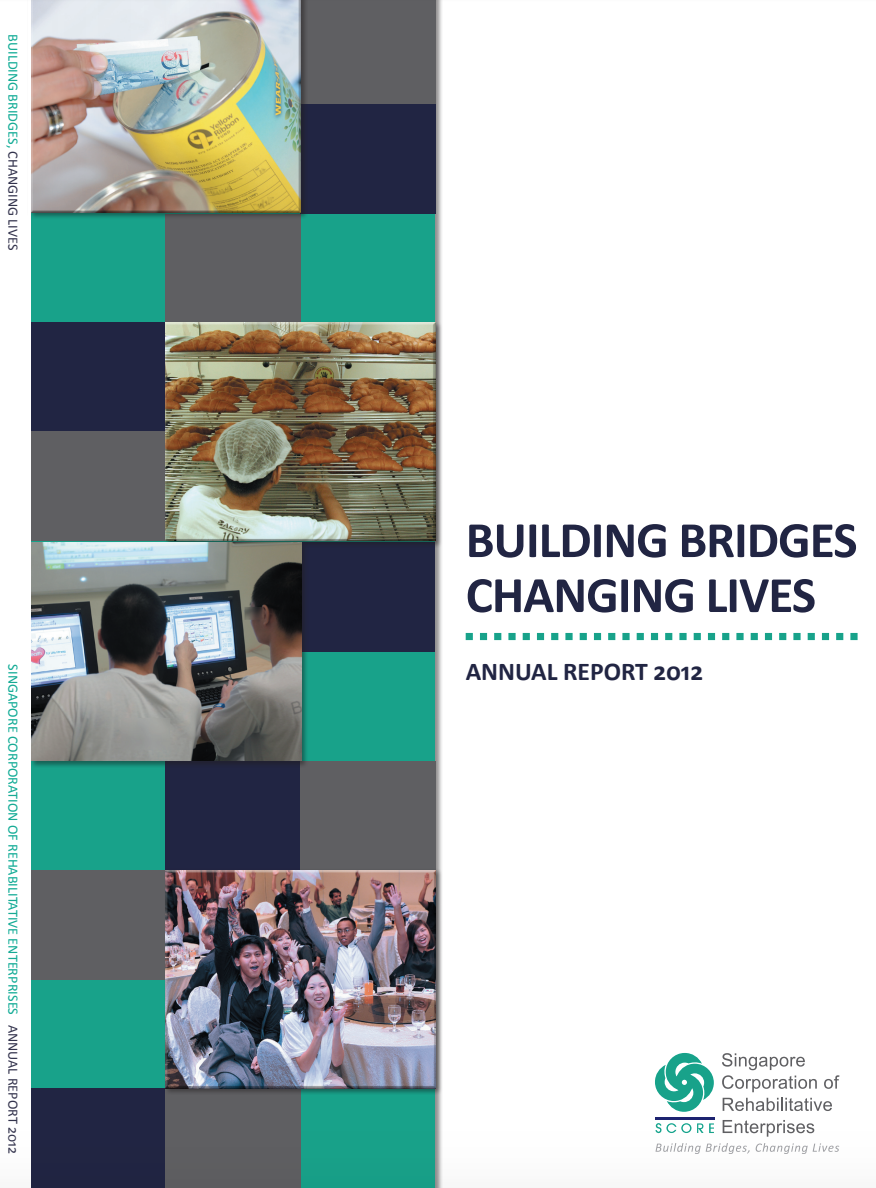 YRSG Annual Report 2012
