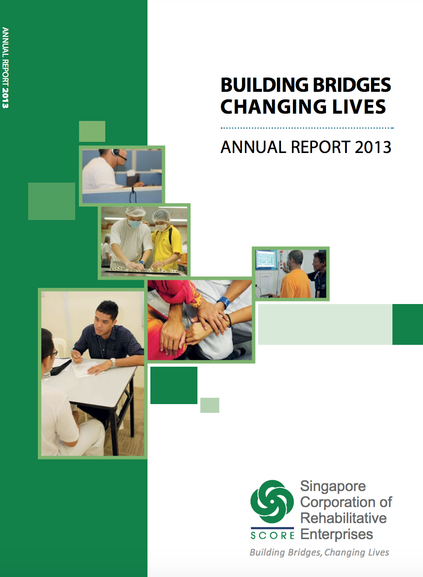 YRSG Annual Report 2013